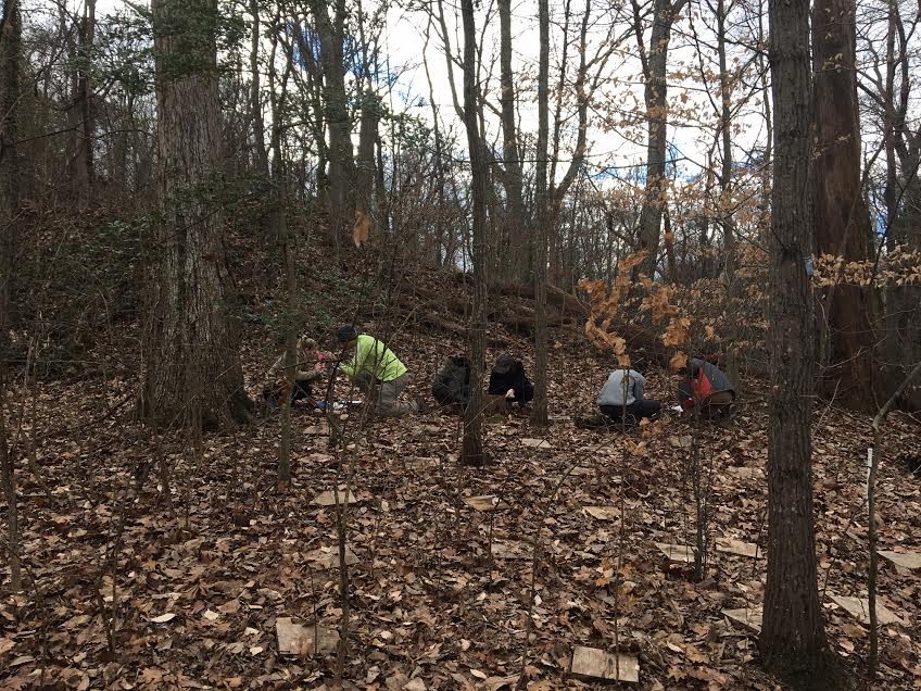 Taken by Melanie Lippert